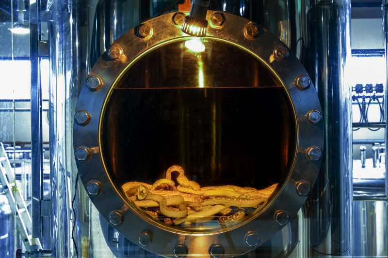 【沖縄のハブ酒特集】ハーブ系リキュール『Double H (ハブ&ハーブ)』 30度 750ml