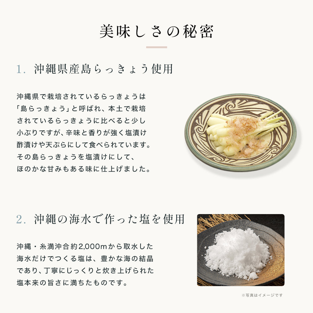 島らっきょう 塩漬け 60g – オリオンビール公式通販