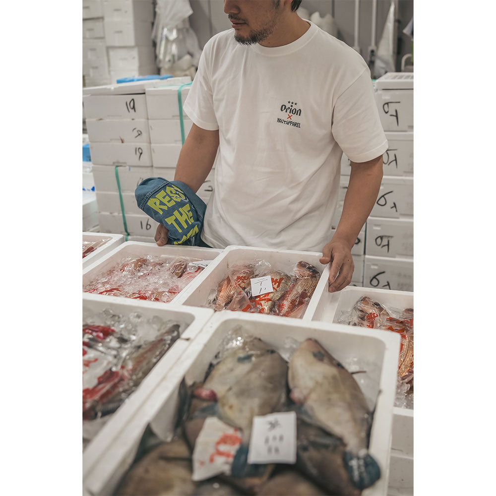 南国魚Tシャツ 【ORION×NAVY APPAREL】（カラー：ホワイト