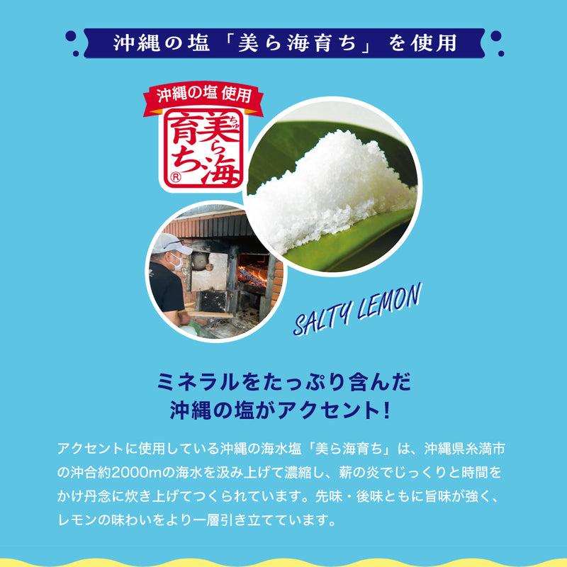 【スペシャルプライス】WATTA 沖縄塩レモン 350ml 24缶入