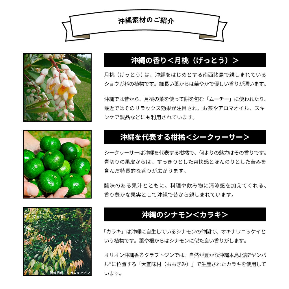 オリオン 沖縄香るクラフトジンソーダ 缶350ml×24入