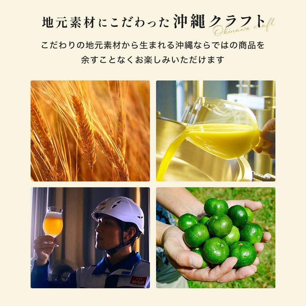 沖縄素材を味わうビール＆チューハイ ギフト（350ml 7種10缶）
