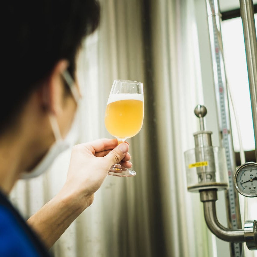 【250セット限定】「ミーニシ DDH-WHITE IPA」2022年9月特別醸造クラフトビール 4本セット ※クール便にて沖縄から直送