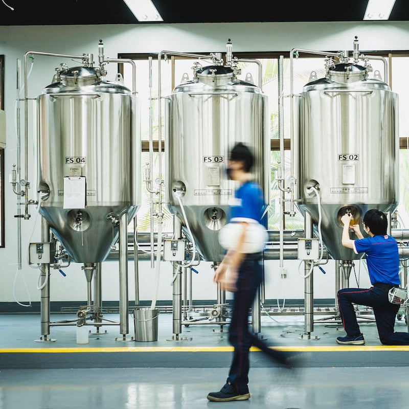 【250セット限定】「ミーニシ DDH-WHITE IPA」2022年9月特別醸造クラフトビール 4本セット ※クール便にて沖縄から直送
