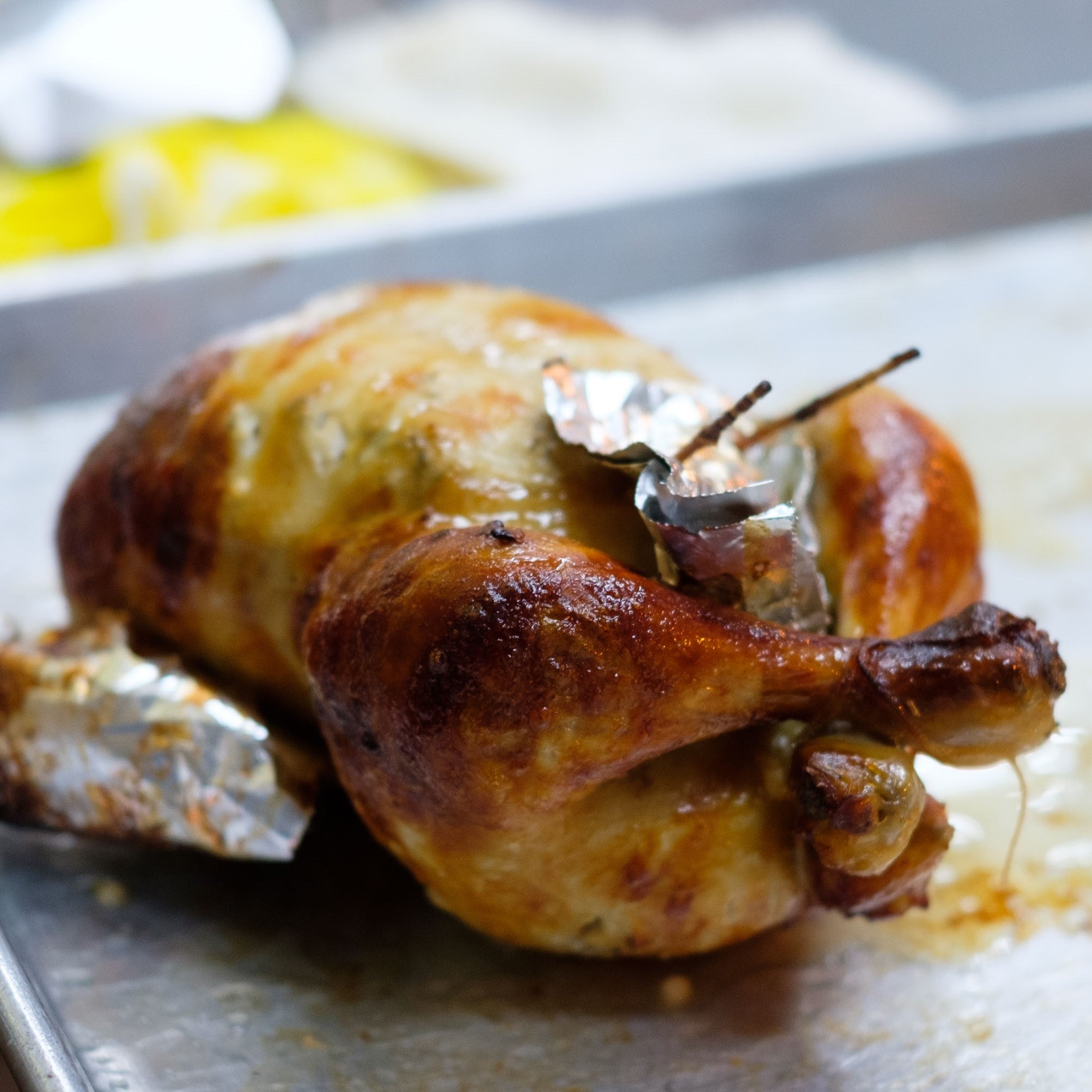 2022-03-01-_XT2F3271_2.jpg?v=