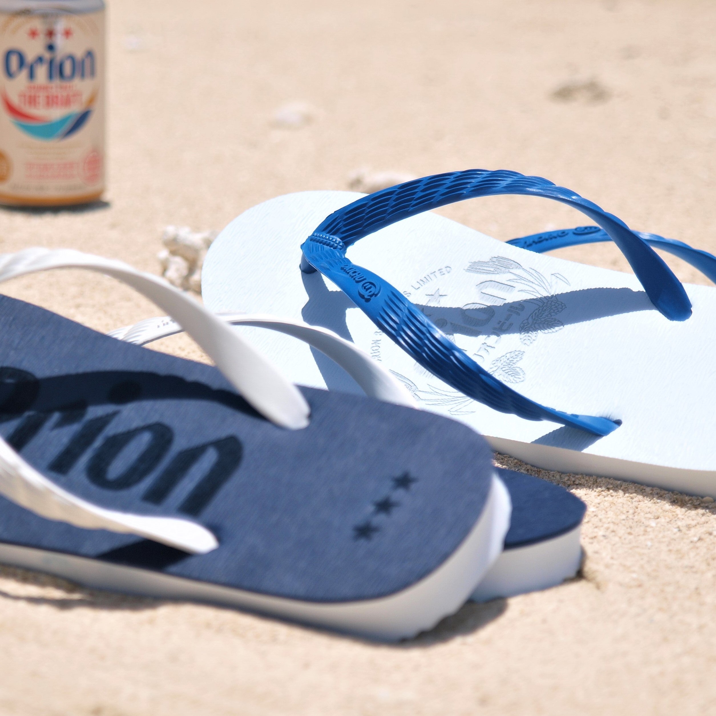 島草履 P1014286_3.jpg?v=1655462162&