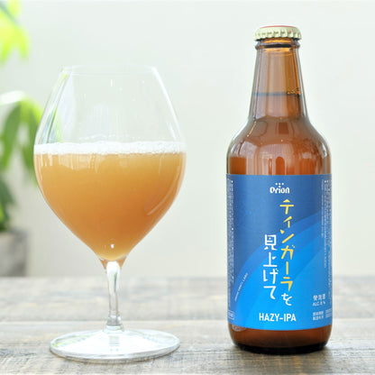 【250セット限定】「ティンガーラを見上げて HAZY-IPA」2022年10月特別醸造クラフトビール 4本セット ※クール便にて沖縄から直送